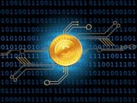 掌握选股分析工具，提升你的投资决策力