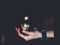央视经济新闻联播网，理财新风向，把握2024年财富增长机遇
